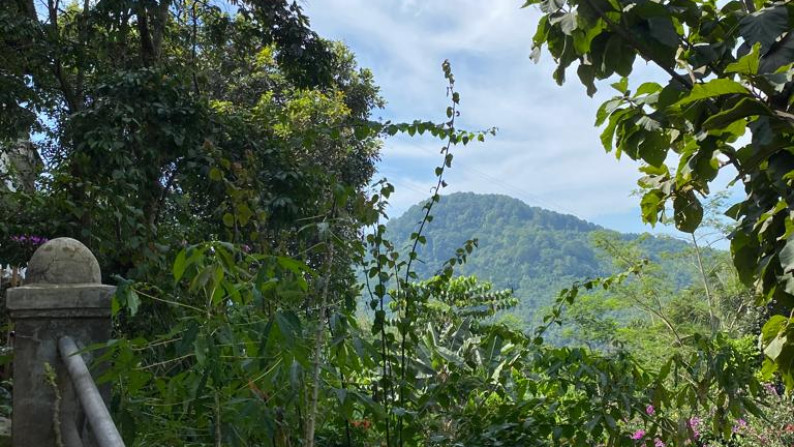 Kavling Cocok Untuk Villa dan Pinggir Jalan Raya @Tapal Kuda, Cianjur