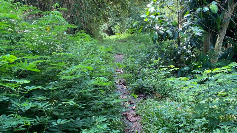 Kavling Cocok Untuk Villa dan Pinggir Jalan Raya @Tapal Kuda, Cianjur