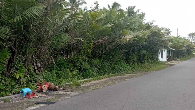 TANAH SAWAH SELUAS 549 METER PERSEGI DI CANDIBINANGUN, PAKEM