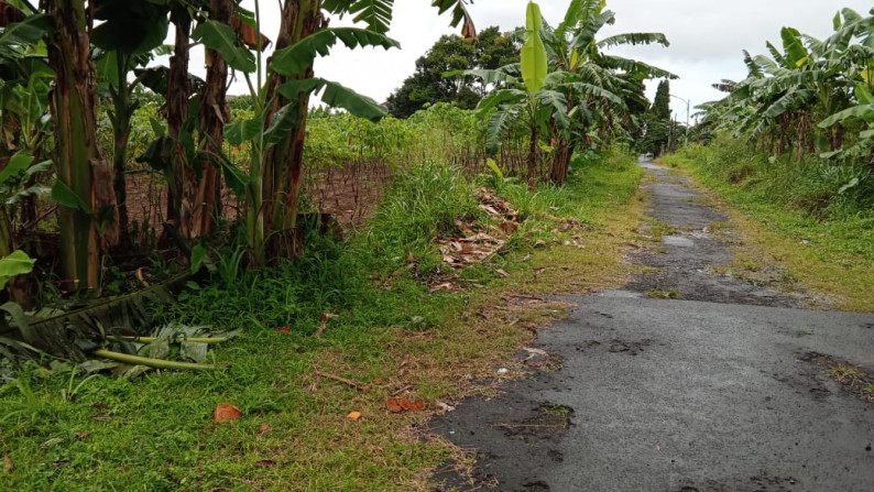 Kavling Siap Bangun Daerah Perumahan @Perumahan Pakuan 2, Bogor Selatan