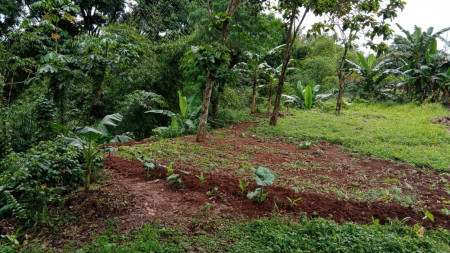 Kavling Siap Bangun Daerah Perumahan @Perumahan Pakuan 2, Bogor Selatan