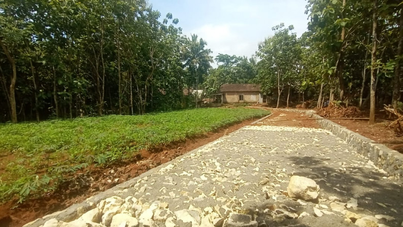 4 UNIT KAVLING SIAP BANGUN DI JL RAYA DLINGO - PATUK, BANTUL