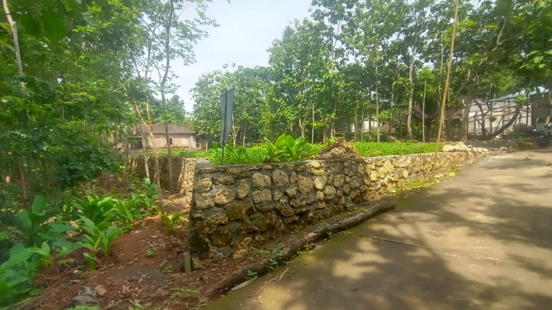 4 UNIT KAVLING SIAP BANGUN DI JL RAYA DLINGO - PATUK, BANTUL