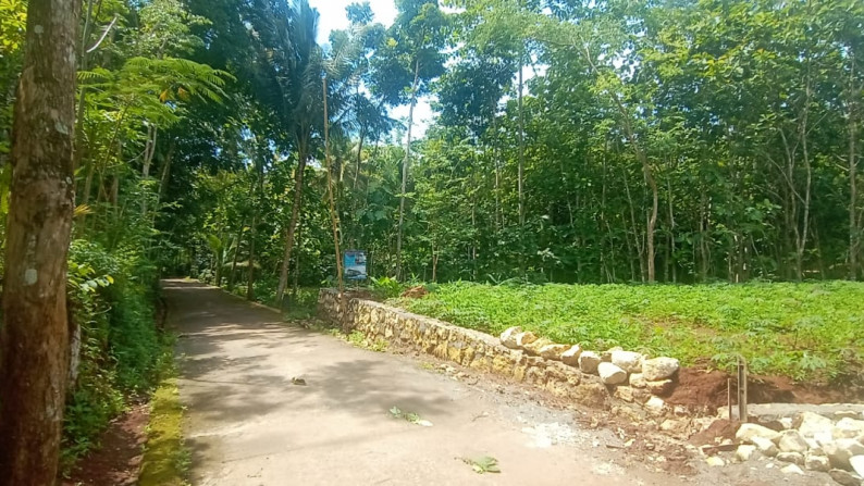 4 UNIT KAVLING SIAP BANGUN DI JL RAYA DLINGO - PATUK, BANTUL