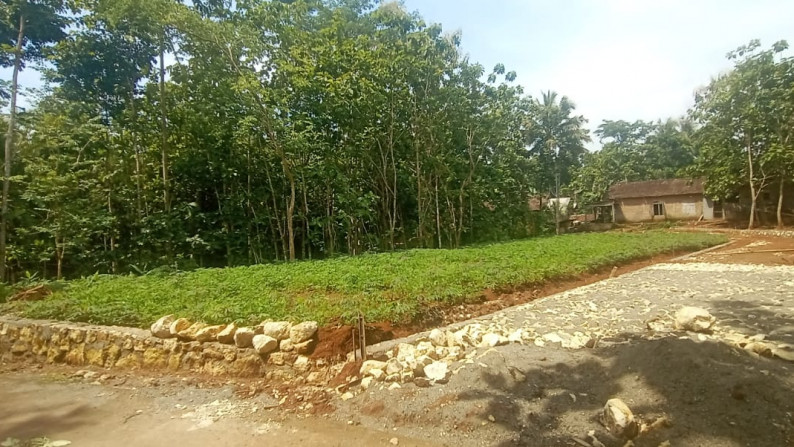 4 UNIT KAVLING SIAP BANGUN DI JL RAYA DLINGO - PATUK, BANTUL