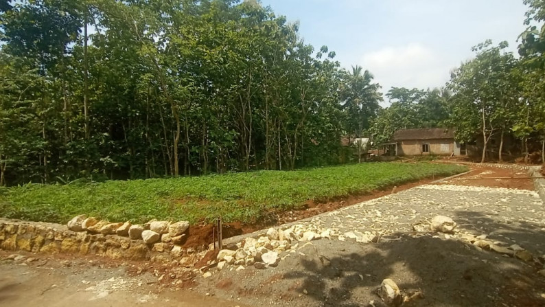 4 UNIT KAVLING SIAP BANGUN DI JL RAYA DLINGO - PATUK, BANTUL