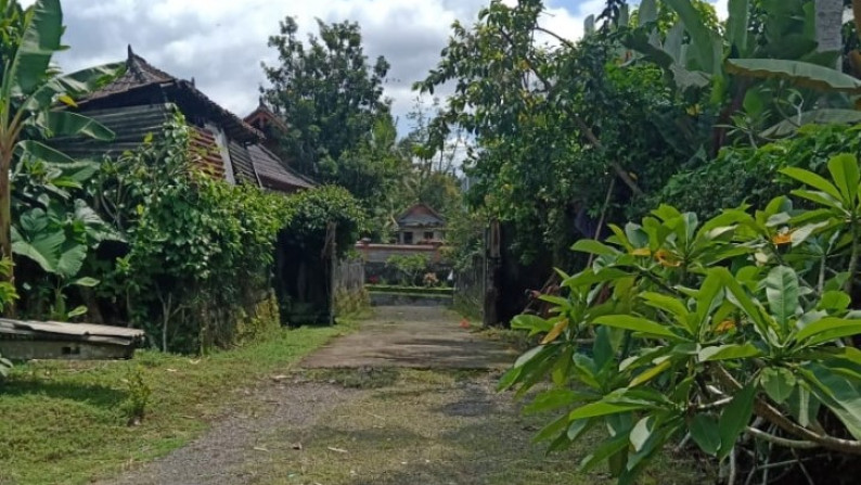 Land Freehold in Great Location Ubud