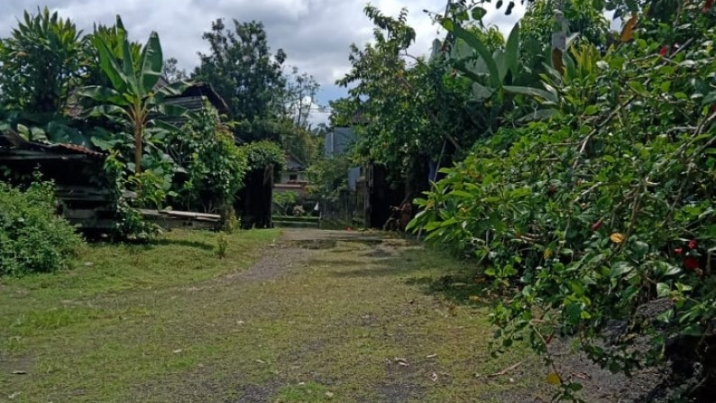 Land Freehold in Great Location Ubud