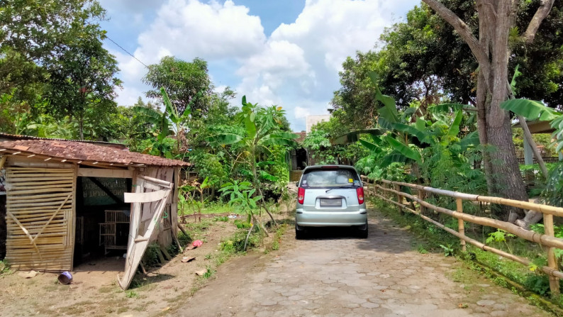 Tanah Pekarangan di Tlogoadi Mlati Sleman yogyakarta