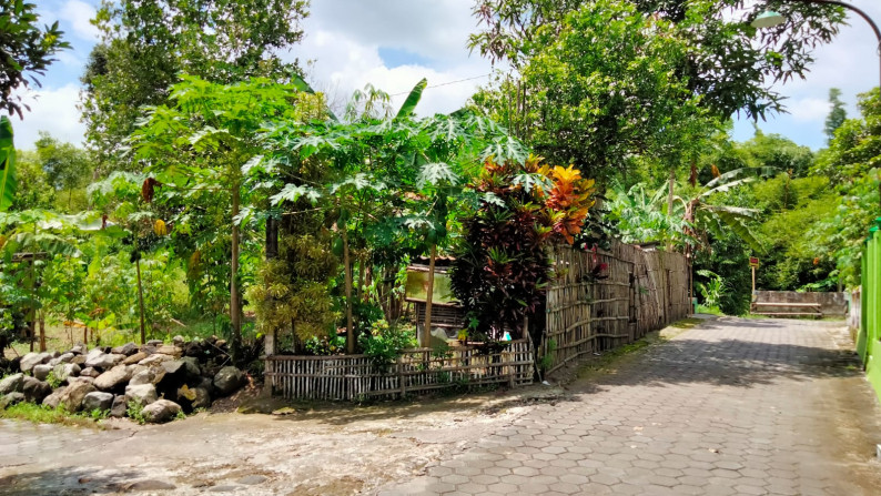 Tanah Pekarangan di Tlogoadi Mlati Sleman yogyakarta