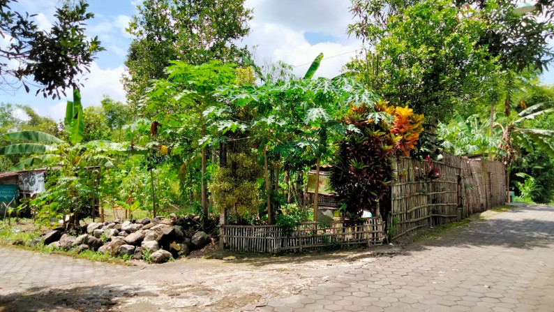 Tanah Pekarangan di Tlogoadi Mlati Sleman yogyakarta