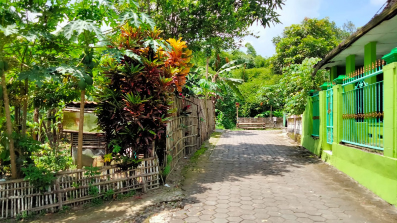 Tanah Pekarangan di Tlogoadi Mlati Sleman yogyakarta