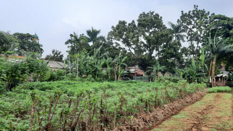 Tanah Lokasi Strategis Cocok untuk Perumahan - Cluster di Limo Depok