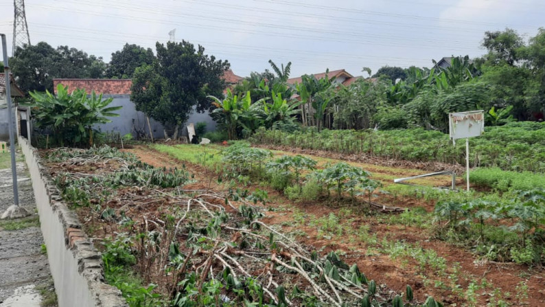 Tanah Lokasi Strategis Cocok untuk Perumahan - Cluster di Limo Depok