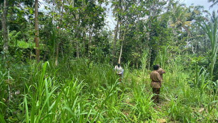 Freehold 8200 m2 land at Tampak Siring, Gianyar