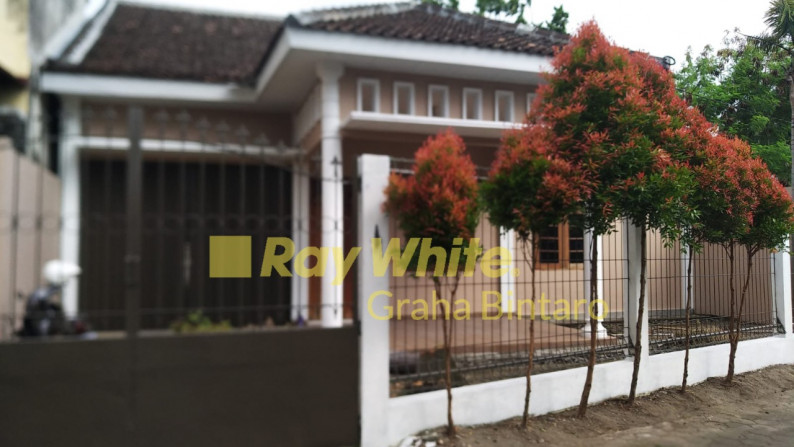 DISEWAKAN rumah asri di Bantul