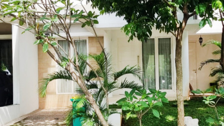 Rumah Bagus Di Discovery Cielo, Bintaro Jaya