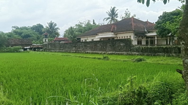 Tanah Jl.Palagan km.14,  Sleman - DI.Yogyakarta