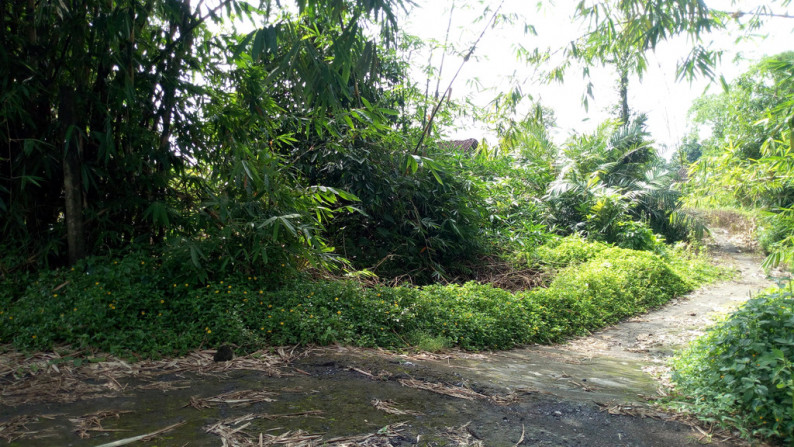 TANAH 2108 METER PERSEGI D JL RAYA TURI, PAKEM , SLEMAN