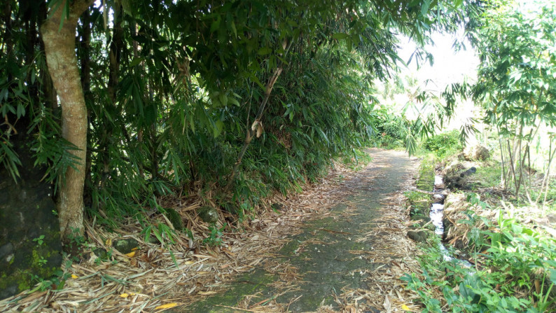 TANAH 2108 METER PERSEGI D JL RAYA TURI, PAKEM , SLEMAN