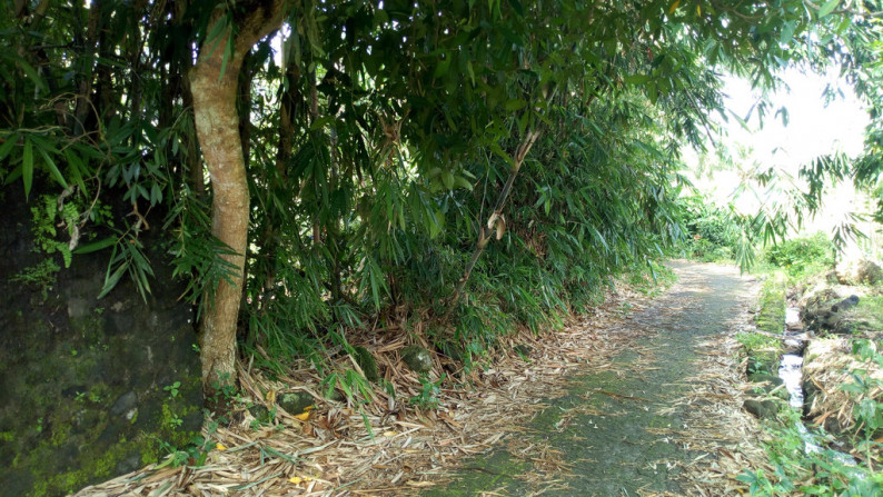 TANAH 2108 METER PERSEGI D JL RAYA TURI, PAKEM , SLEMAN