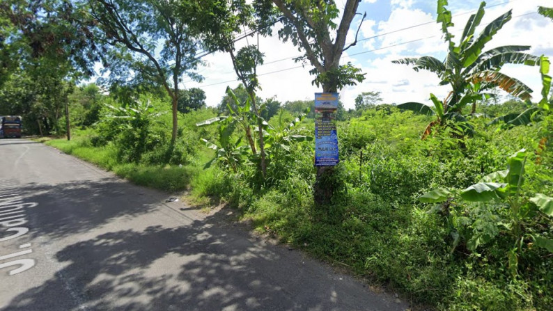 TANAH SELUAS 1770 METER PERSEGI, DI JL CANGKRINGAN, KALASAN, SLEMAN