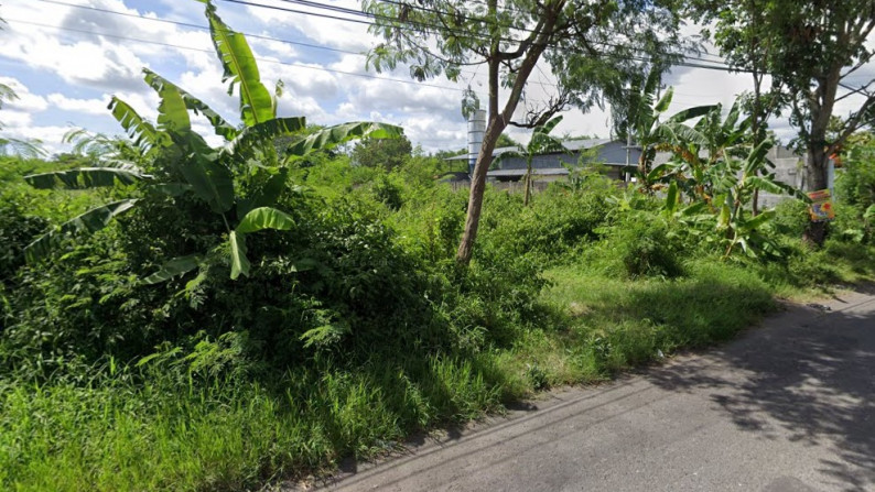 TANAH SELUAS 1770 METER PERSEGI, DI JL CANGKRINGAN, KALASAN, SLEMAN