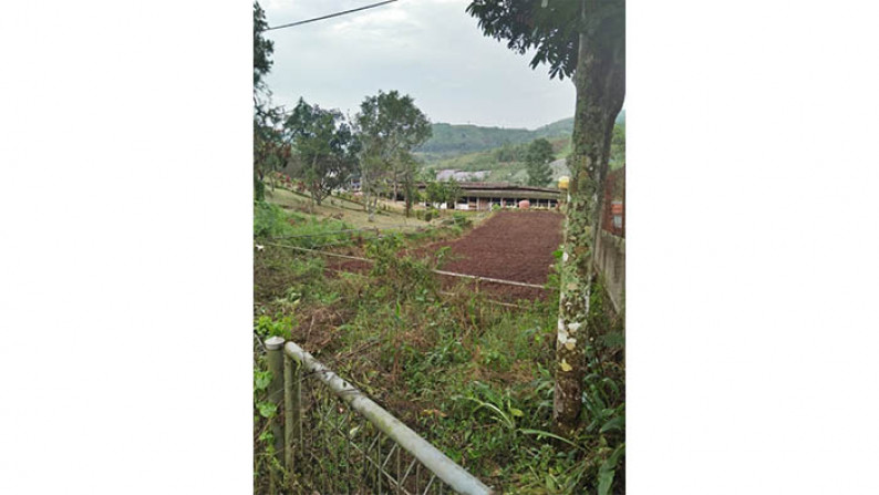 Tanah Kebun dekat Lembah Karmel & Vihara Di Puncak Luas 2.950m2