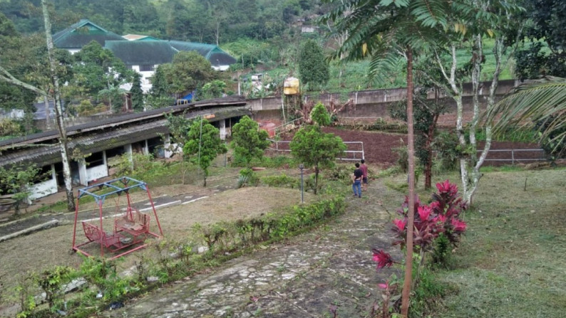 Tanah Kebun dekat Lembah Karmel & Vihara Di Puncak Luas 2.950m2