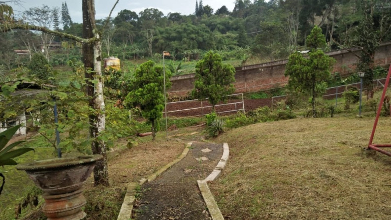 Tanah Kebun dekat Lembah Karmel & Vihara Di Puncak Luas 2.950m2