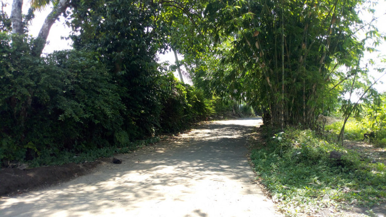TANAH DI PAKEM SELUAS 132 METER PERSEGI, LOKASI COCOK UNTUK RUMAH TINGGAL
