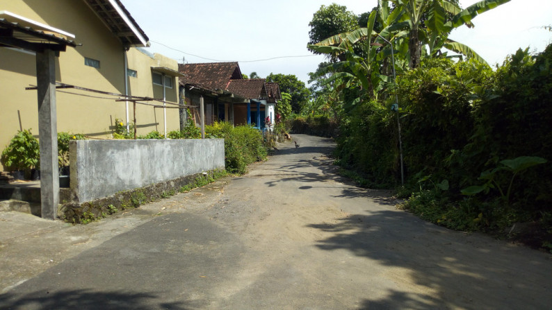 TANAH DI PAKEM SELUAS 132 METER PERSEGI, LOKASI COCOK UNTUK RUMAH TINGGAL