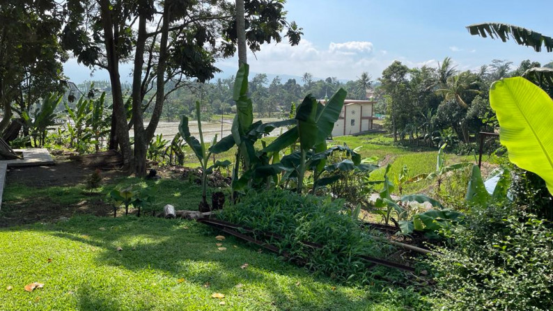 Villa Bonus Tanah Luas Dilengkapi Kolam Renang di Cijeruk, Bogor