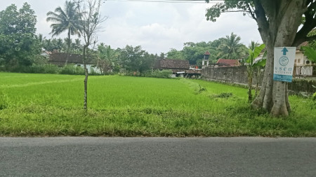 Tanah Jl.Palagan km.14,  Sleman - DI.Yogyakarta