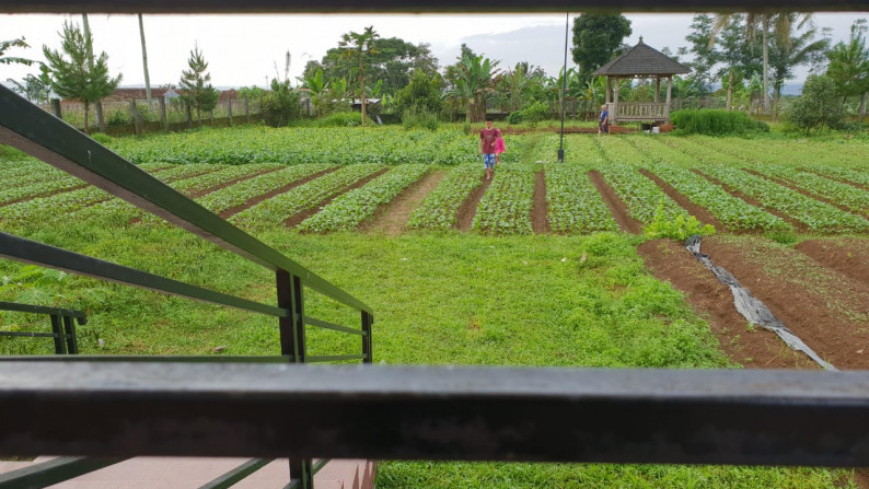 Rumah Villa 1 lantai dengan Kebun luas dan subur di Sukabumi