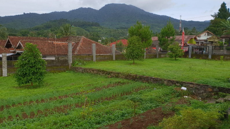 Rumah Villa 1 lantai dengan Kebun luas dan subur di Sukabumi