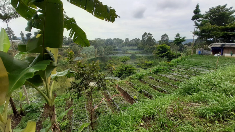 Dijual Tanah di Kolonel Masturi Lembang