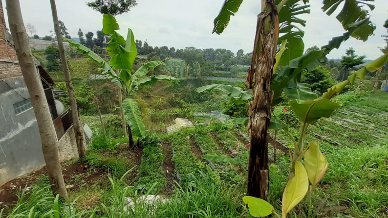 Dijual Tanah di Kolonel Masturi Lembang