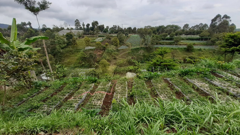 Dijual Tanah di Kolonel Masturi Lembang