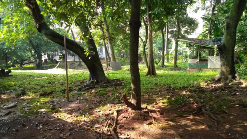 Dijual Rumah Bagus di Daerah Pondok Labu, Jakarta Selatan