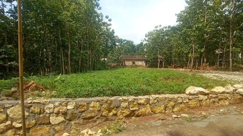 2 UNIT KAVLING SIAP BANGUN DI JL RAYA DLINGO - PATUK, BANTUL