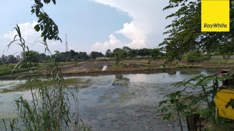 Dijual Tanah Hook di Lingkar Timur, Sidoarjo