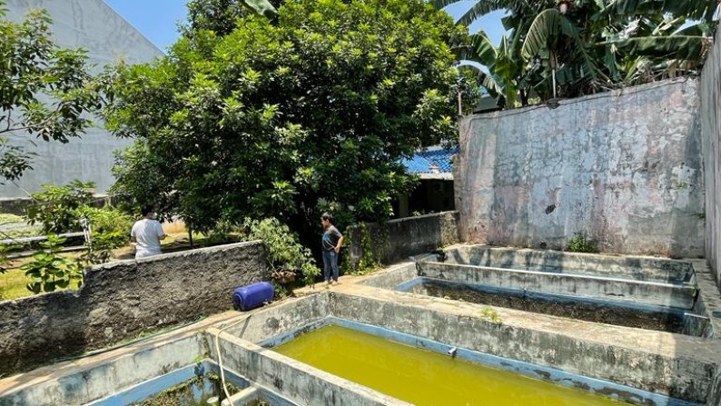 Rumah Clasic dengan halaman yg sangat luas dan nyaman #AL