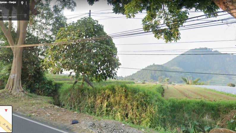 Dijual Kavling Pinggir Jalan Desa Ciherang, Cianjur Jawa Barat