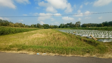 TANAH SAWAH SELUAS 806+806 METER PERSEGI, DI SONOHARJO, SEYEGAN, SLEMAN