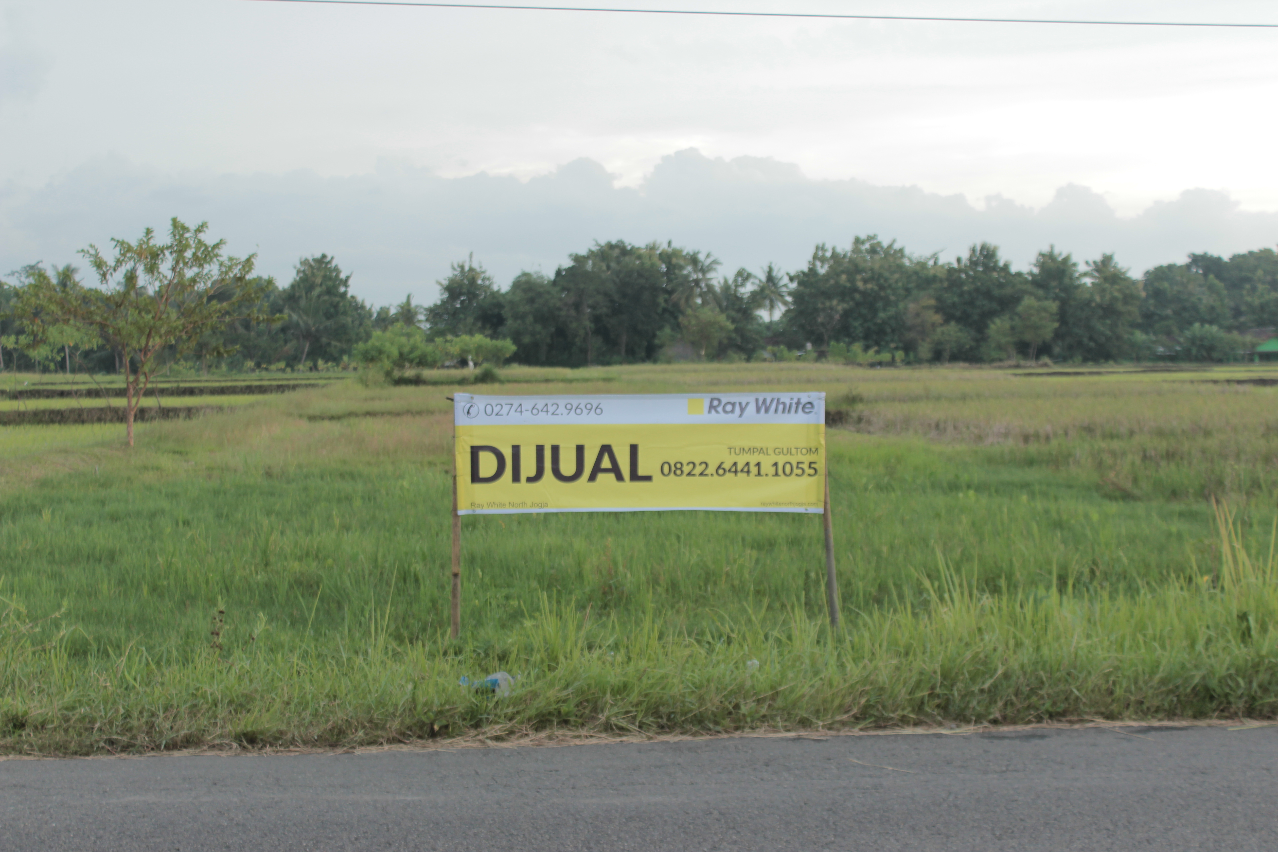 TANAH SAWAH SELUAS 1459 METER PERSEGI, DI JL GODEAN