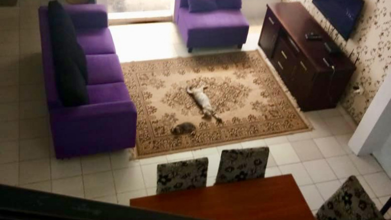 Rumah Siap Huni, Lokasi Strategis, dan Hunian Nyaman @ Mertilang, Bintaro Jaya