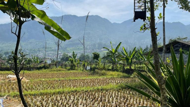 Kavling Siap Bangun dan Cocok Untuk Peruntukkan Rumah/Villa/Kebun @Cisarua