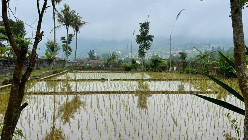 Kavling Siap Bangun dan Cocok Untuk Peruntukkan Rumah/Villa/Kebun @Cisarua