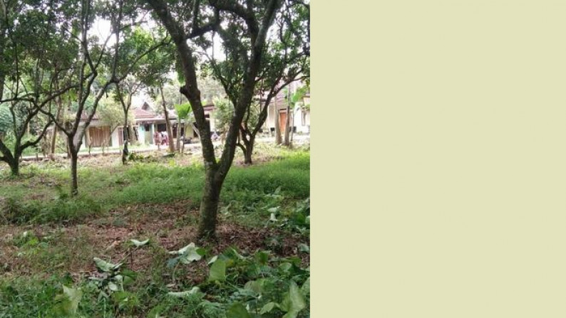 dijual kavling tanah komersial di area curug serang banten